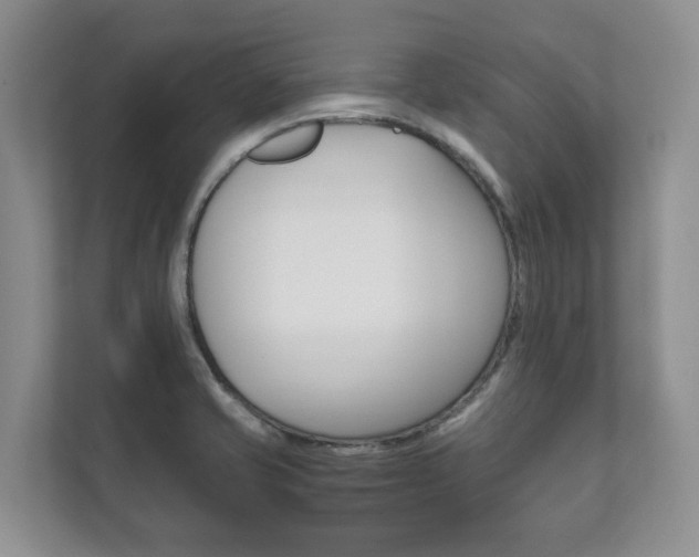 X0000111881421200907231418