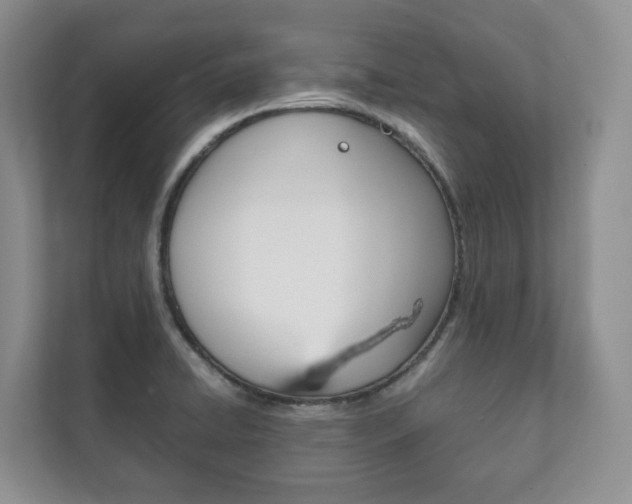 X0000111881422200907231418