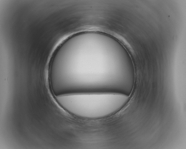 X0000111881424200907231418