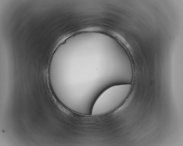 X0000111881425200907231418