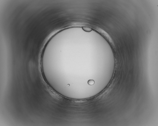 X0000111881427200907231418