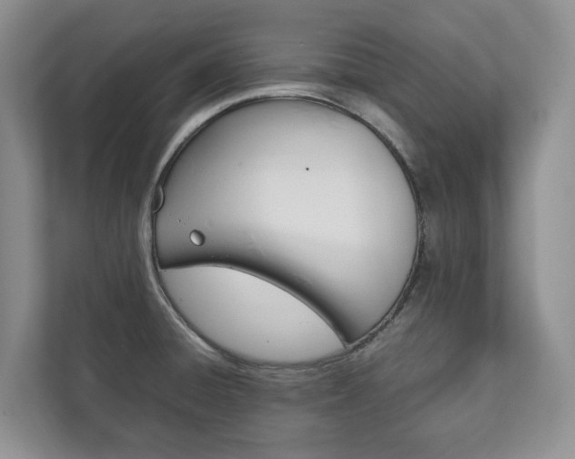 X0000111881428200907231418