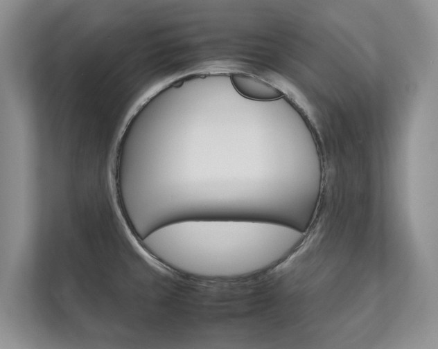 X0000111881429200907231418