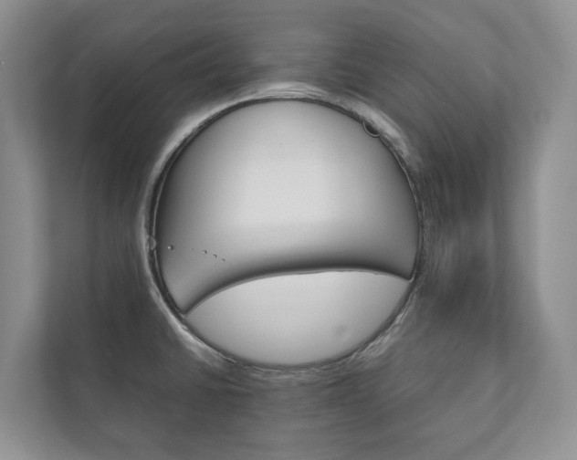 X0000111881430200907231418