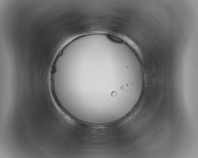 X0000111881431200907231418