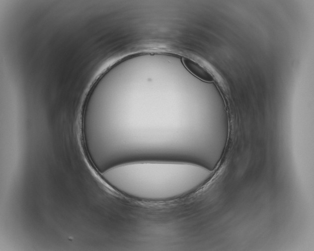 X0000111881432200907231418