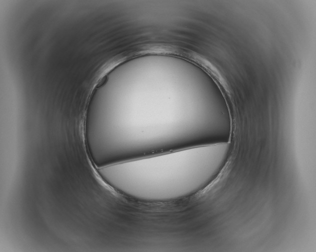 X0000111881433200907231418