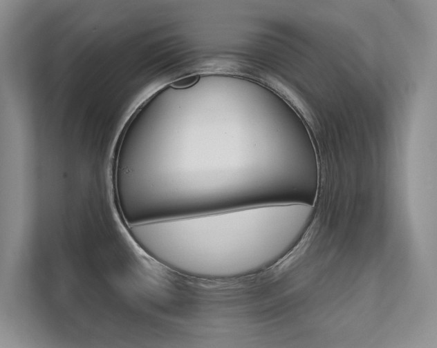 X0000111881434200907231418