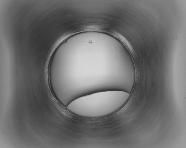 X0000111881435200907231418