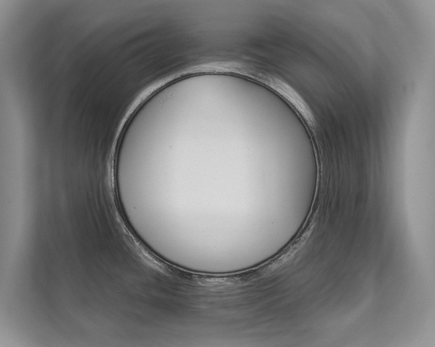 X0000111881436200907231418