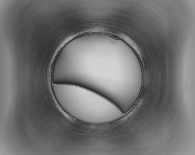 X0000111881437200907231418