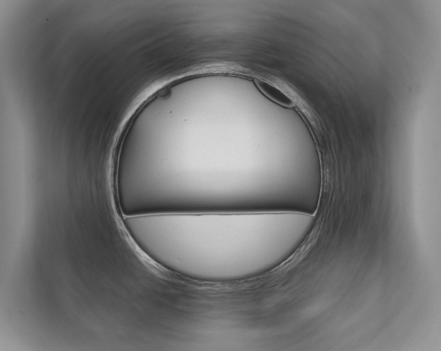 X0000111881438200907231418