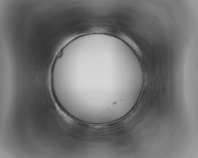 X0000111881439200907231418