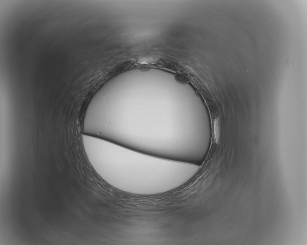 X0000111881443200907231417