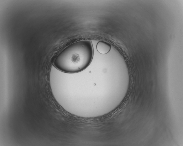 X0000111881445200907231417