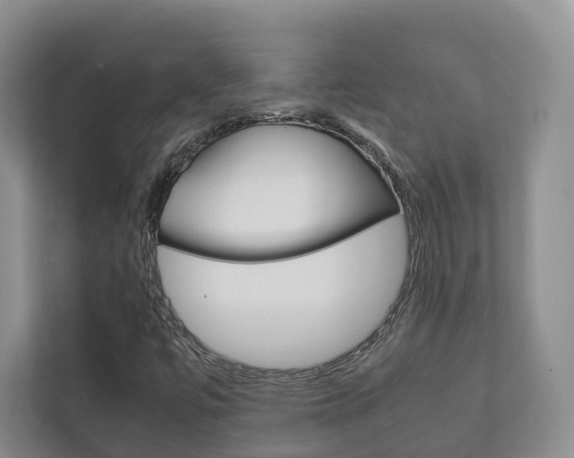 X0000111881447200907231417