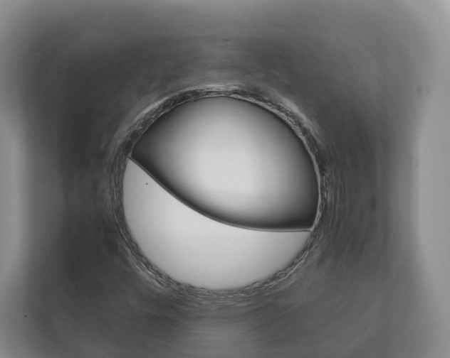 X0000111881448200907231417