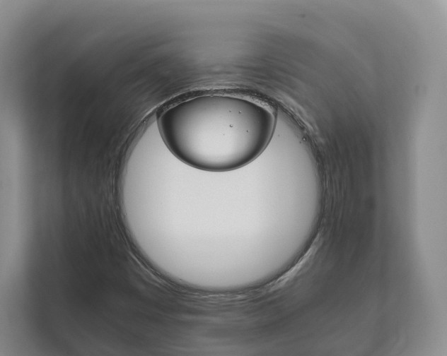 X0000111881449200907231417