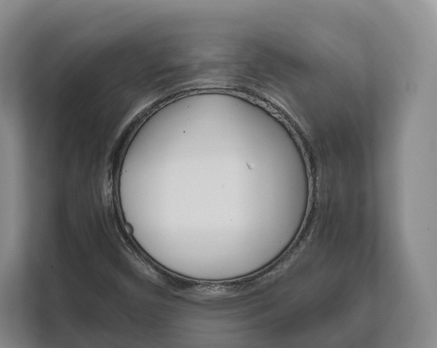 X0000111881450200907231417