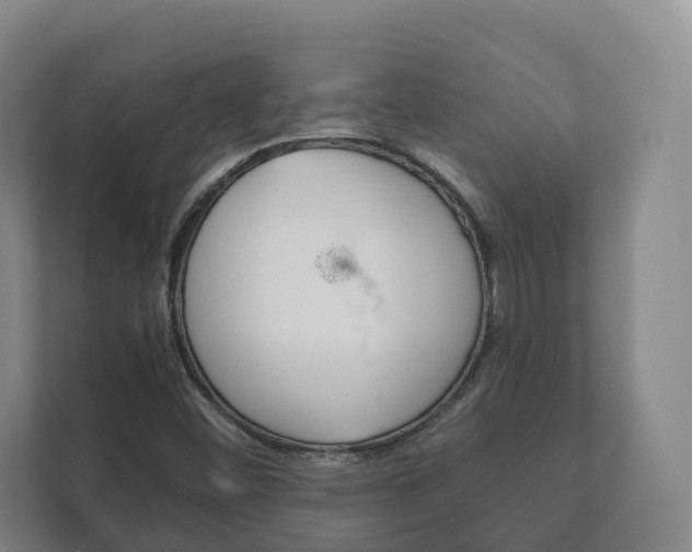 X0000111881452200907231417
