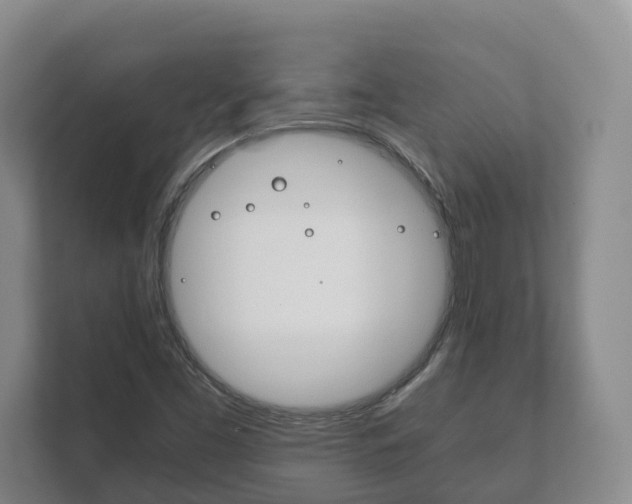 X0000111881453200907231417