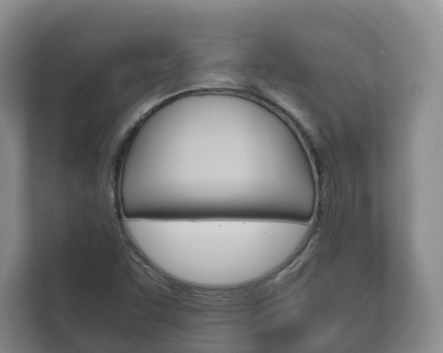 X0000111881455200907231417