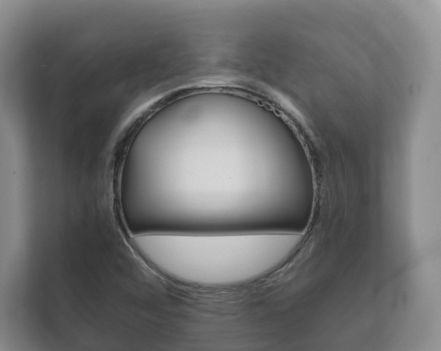 X0000111881456200907231417