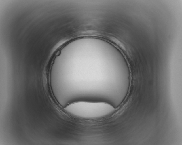 X0000111881458200907231417