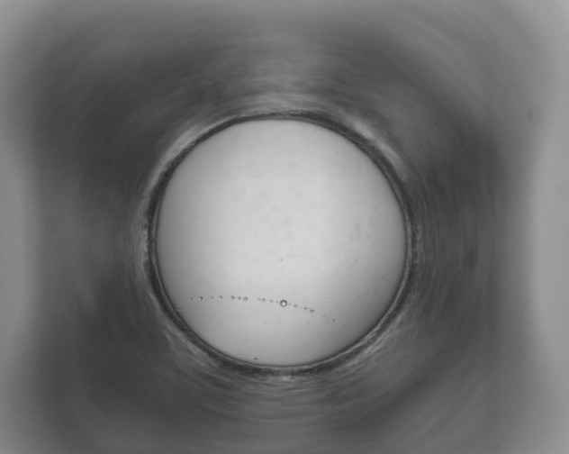 X0000111881459200907231417