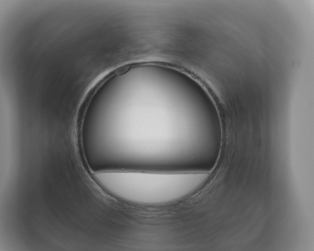 X0000111881460200907231417