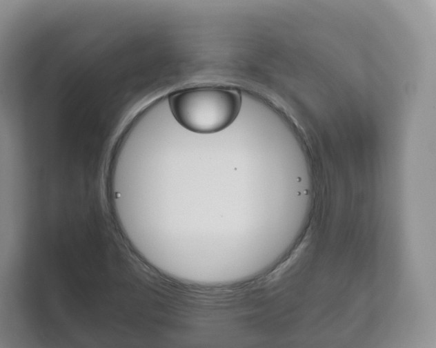 X0000111881461200907231417