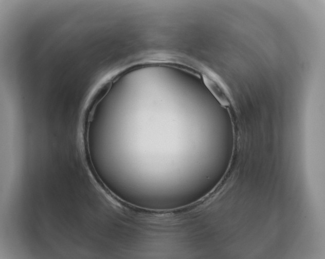 X0000111881464200907231417