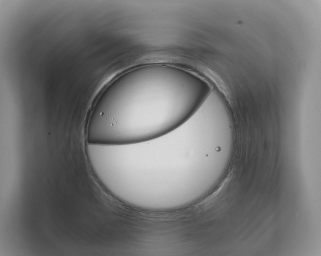 X0000111881465200907231417