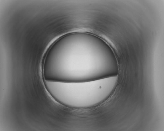 X0000111881468200907231417