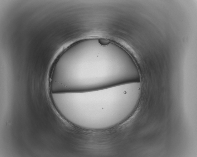 X0000111881469200907231417