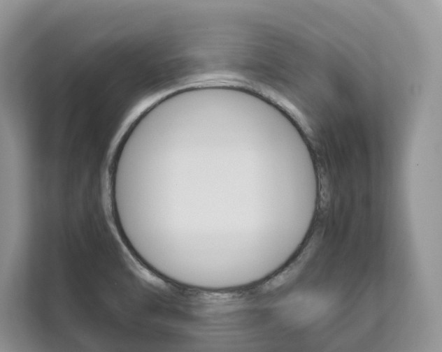 X0000111881470200907231417