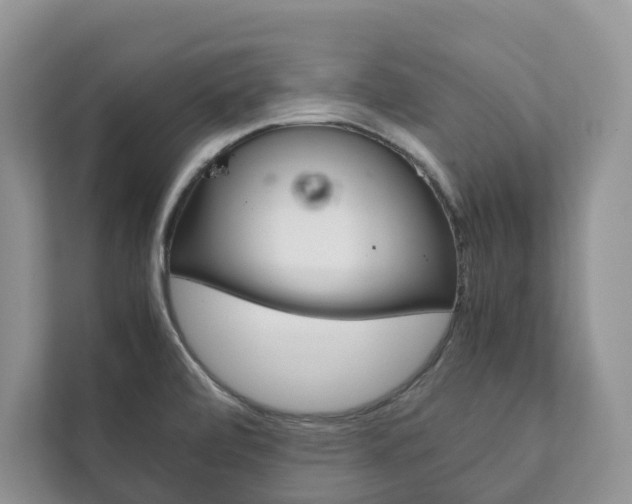 X0000111881472200907231417