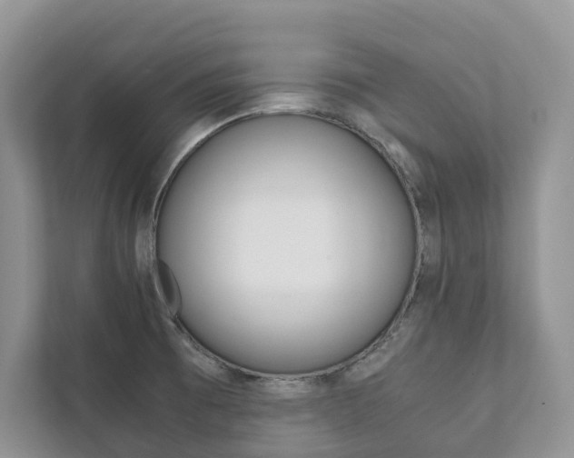 X0000111881473200907231417