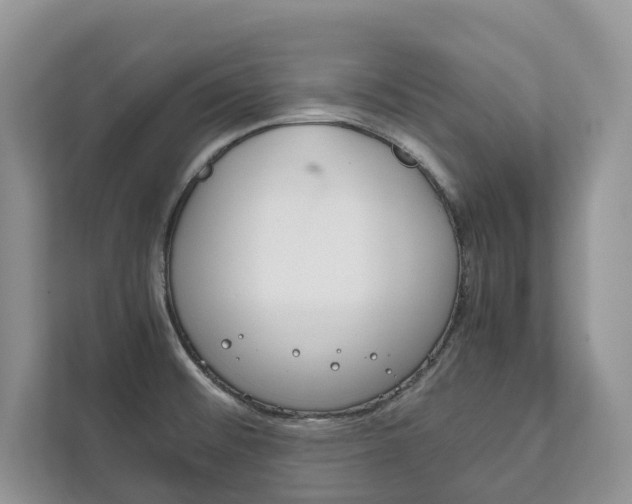 X0000111881476200907231417