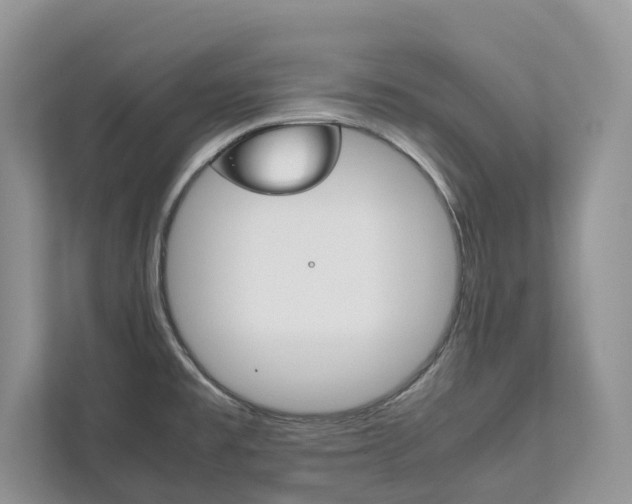 X0000111881477200907231417