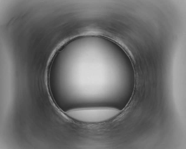 X0000111881480200907231417