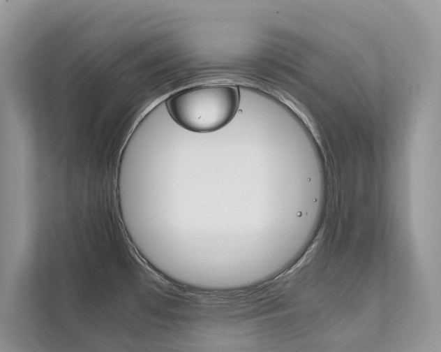 X0000111881481200907231417