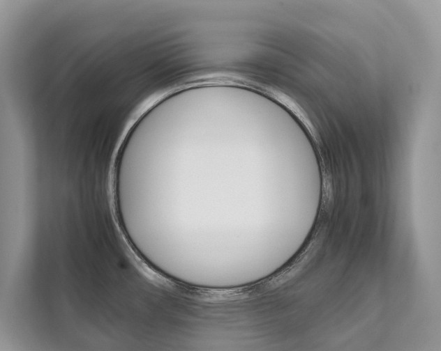 X0000111881482200907231417