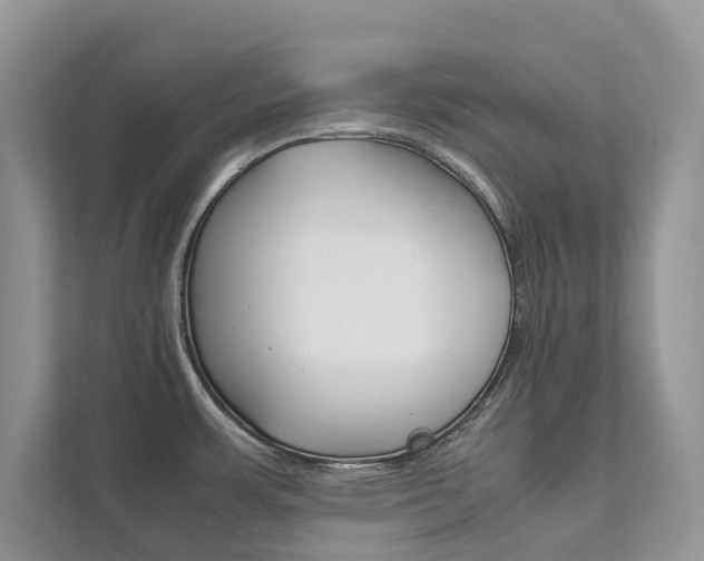 X0000111881483200907231417