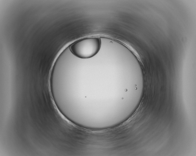 X0000111881484200907231417