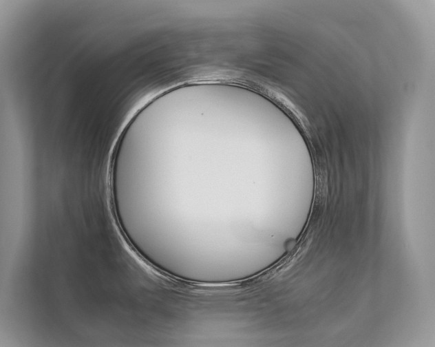 X0000111881487200907231417