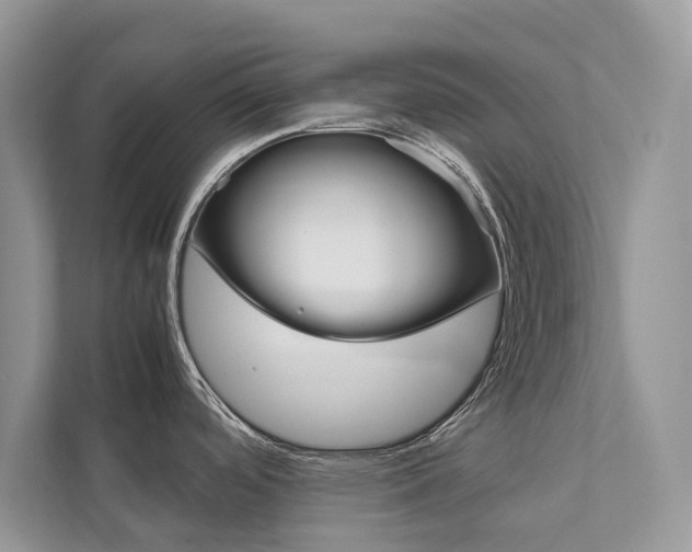 X0000111881488200907231417