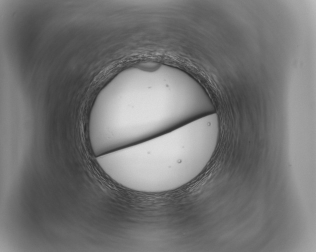 X0000111881489200907231416