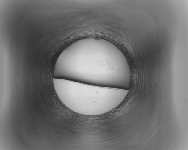 X0000111881490200907231416