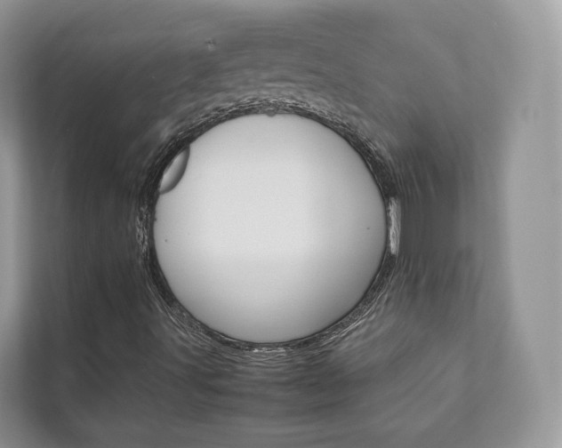 X0000111881491200907231416